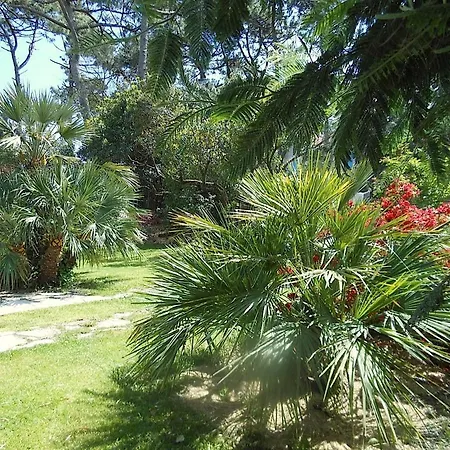 Dom Tom Villa Lacanau